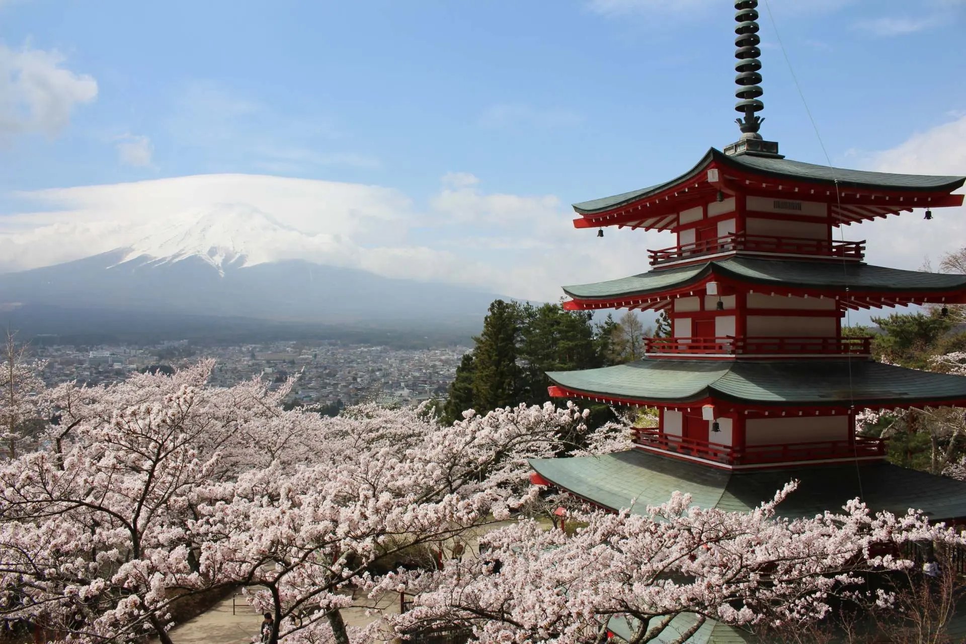 ⛩️ 추레이토 탑 (아라쿠라야마 센겐 공원) 이미지 10